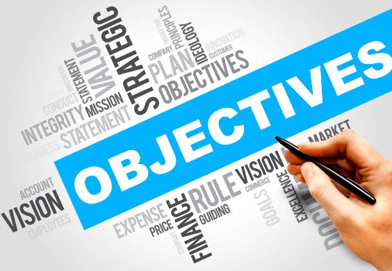 business objectives 