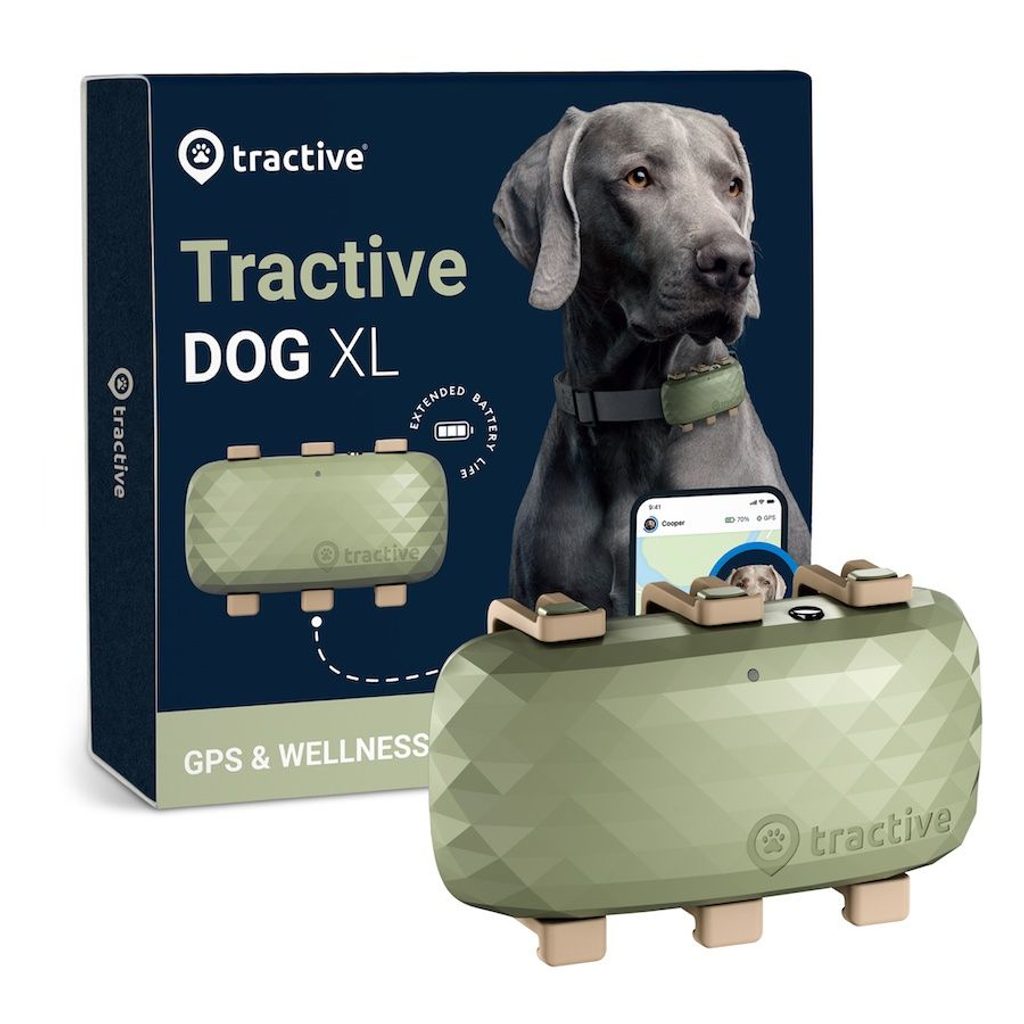 Tractive Dog XL: