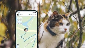 Tractive GPS Cat Tracker: 