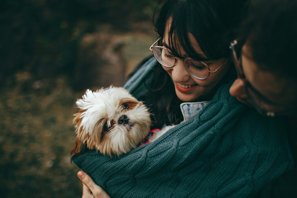 What to Know as a First Time Dog Owner