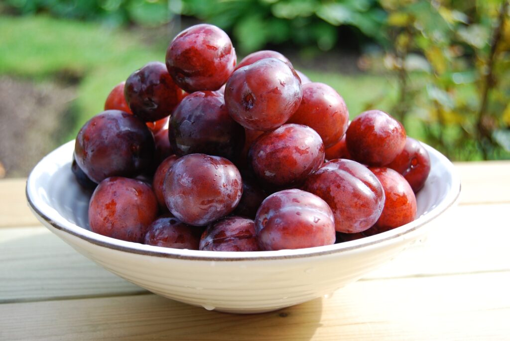 plum face wash