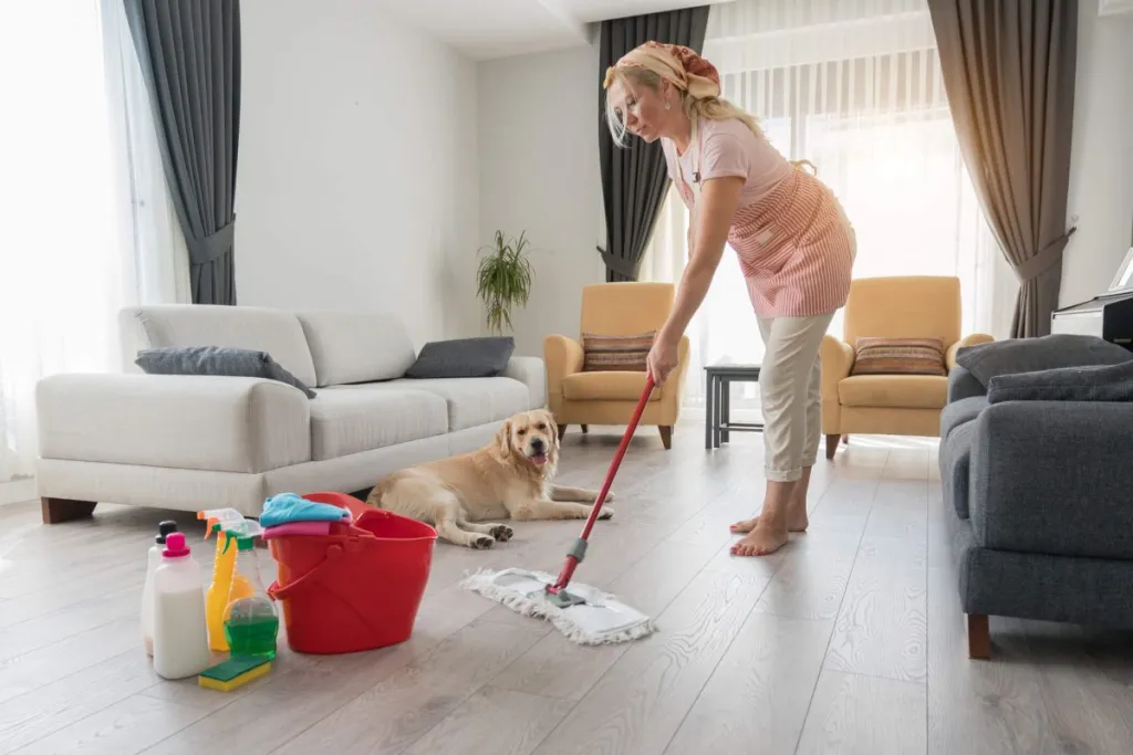 Move Out Cleaning for Austin Pet Owners