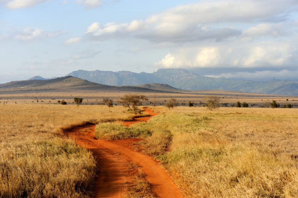 Visit Tanzania